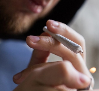 Facts About Cannabis in the State of Florida